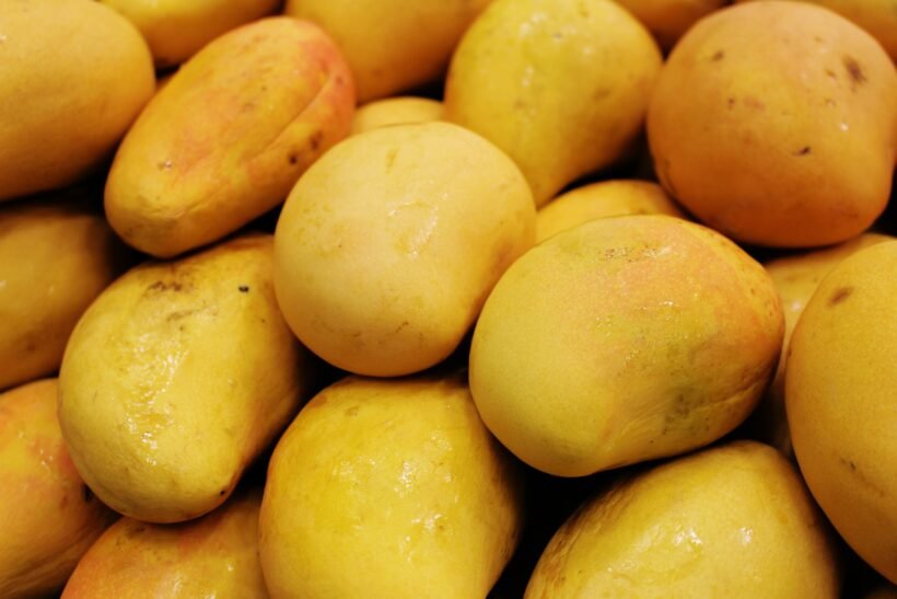 Carabao mango, shutterstock, hello cebu ph