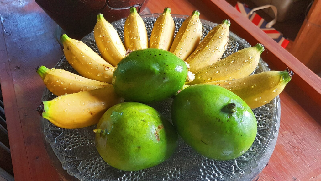 Katchamita mango indian mango cebu city