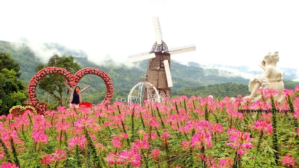 sirao flower garden little amsterdam cebu