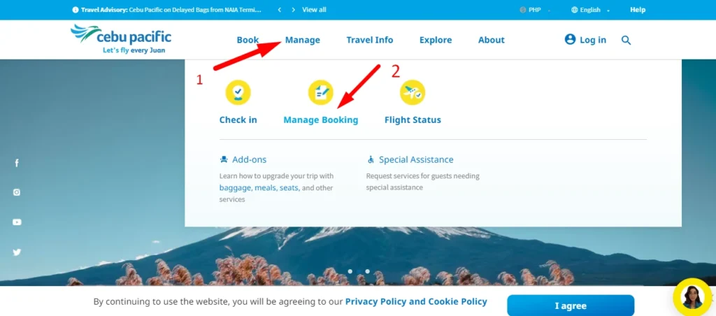 Cebu Pacific Website for Adding Baggage