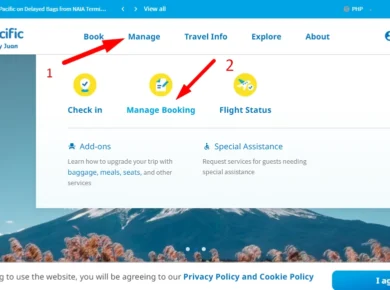 Cebu Pacific Website for Adding Baggage