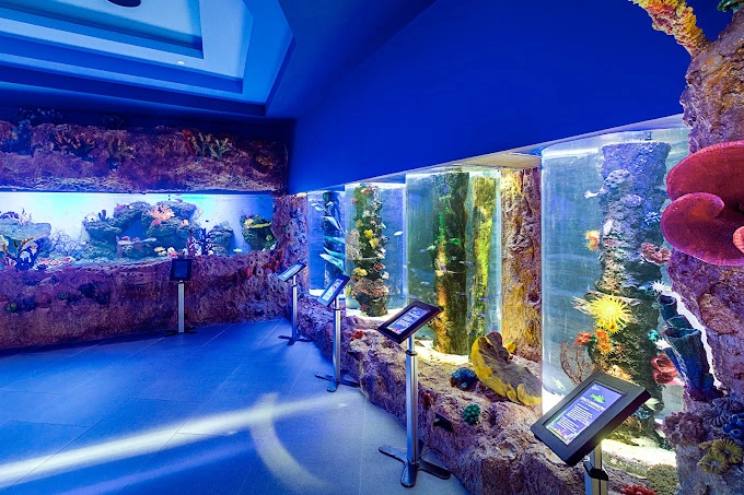 Image of Cebu Ocean Parks various aquariums by Cebu Ocean Park