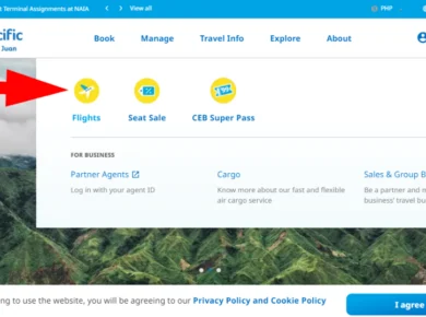 booking a flight in cebu pacific