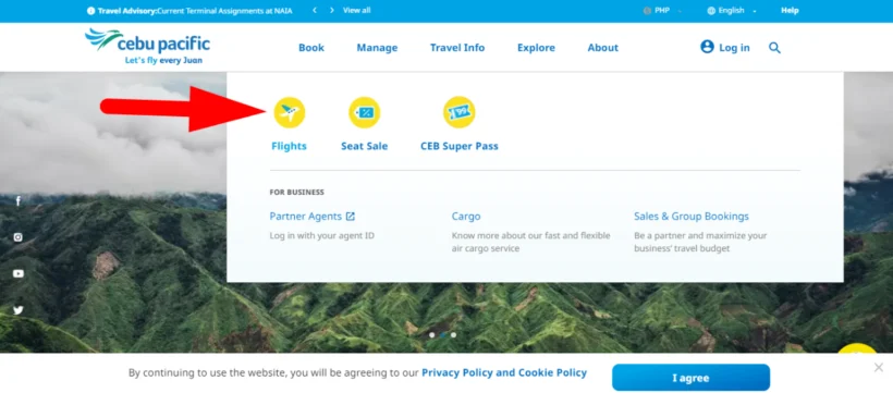 booking a flight in cebu pacific
