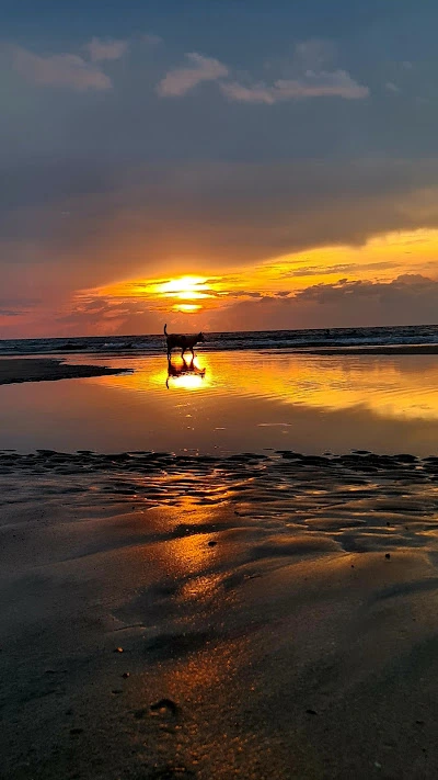 Beautiful Sunset in Nagtabon Beach by Dalene Khay Balandra