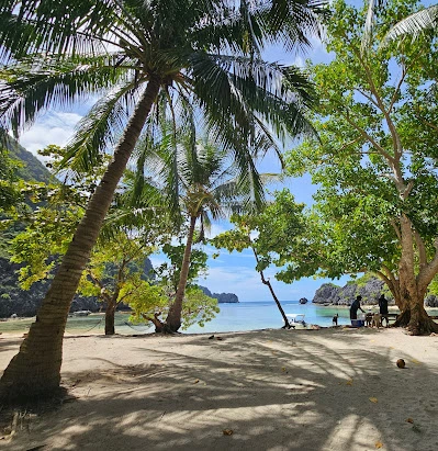 Tapiutan Island Shore by Philipp Molzer