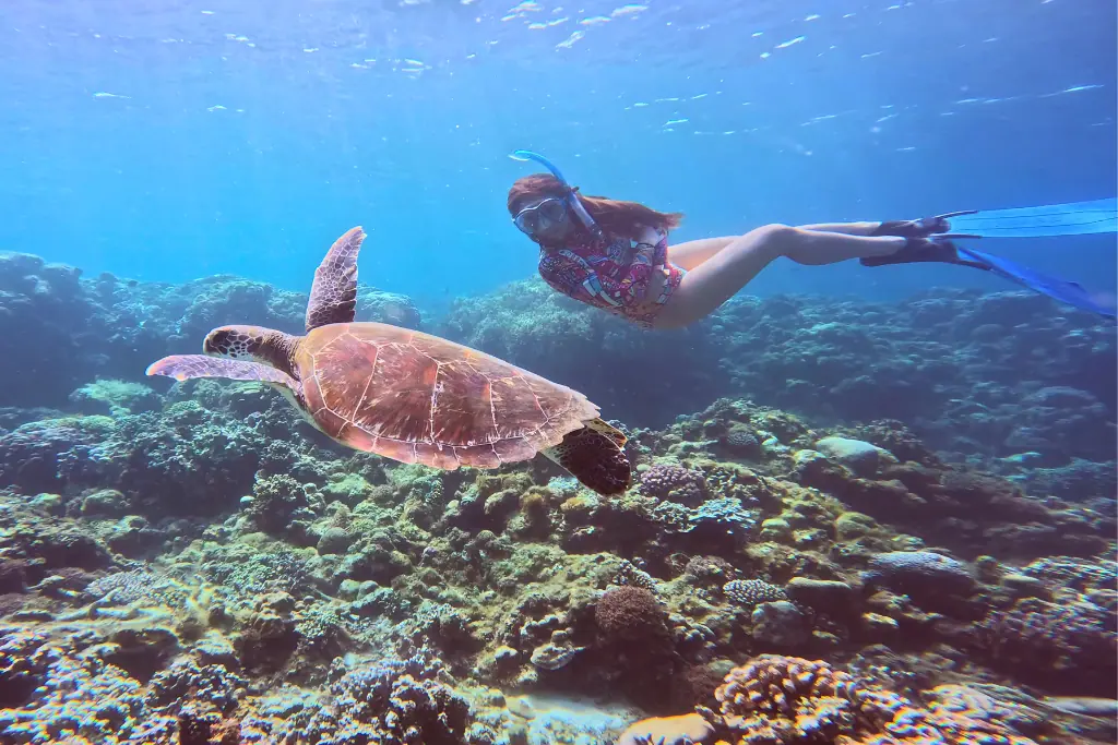 Moalboal, Cebu: The Underrated Paradise You Need to Visit Things to do in Moalboal 12