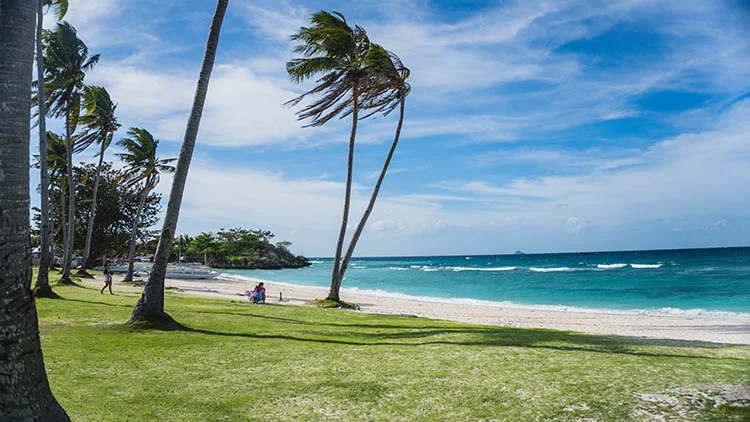 Unwind in Paradise: North Cebu’s Most Stunning Beaches Revealed Coconut Trees near North Beach Malapascua