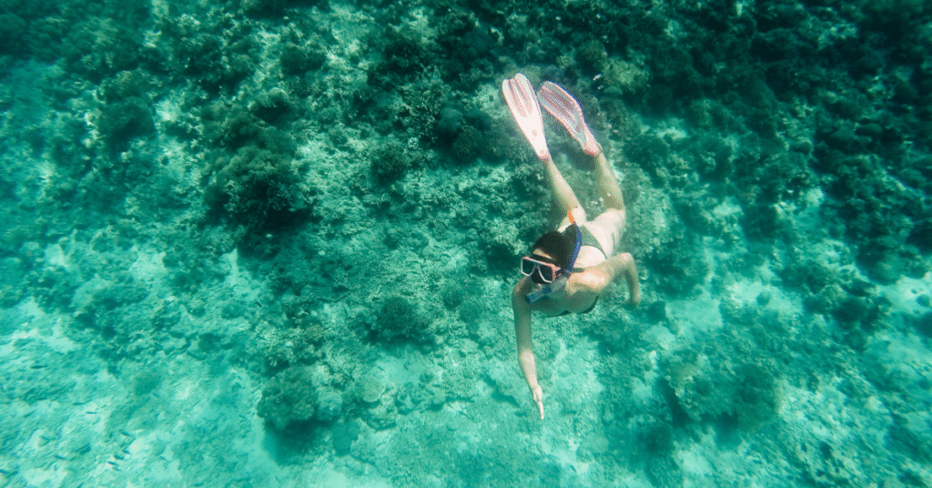 Cebu Life & Leisure: Simply Cebu, Beautifully Lived Island Diving